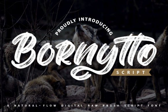 Bornytto: The Textured Brush Font